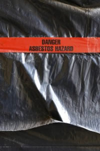 Illinois Supreme Court Upholds the Exclusive Remedy Provisions of the Workers’ Compensation Act and the Workers’ Occupational Diseases Act in Asbestos Related Diseases